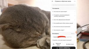 Как получить лупер в Лайке 2023 // КАК ПОЛУЧИТЬ ЛУПЕР В LIKEE 2023-2024