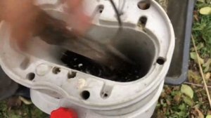 Садовый измельчитель Champion SH250