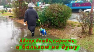 Адлер сегодня, дождь, сырость и бальзам на душу