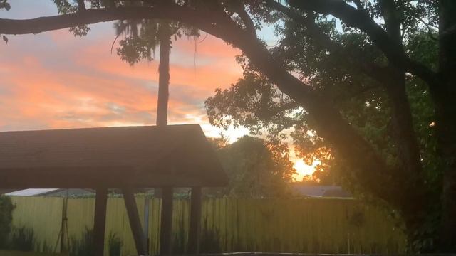 🔴 ПРИРОДА - лучший ХУДОЖНИК 🔴 такого вы нигде не увидите, ни в одном музее 25.06.2020 смотреть онлайн