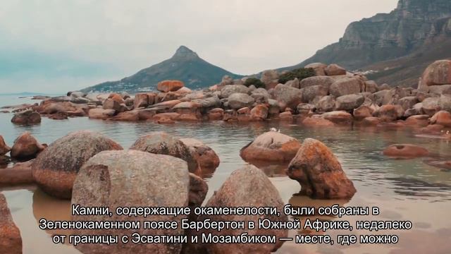 В скальной породе возрастом 3,4 миллиарда лет обнаружены древние окаменелости микробной жизни смотреть онлайн