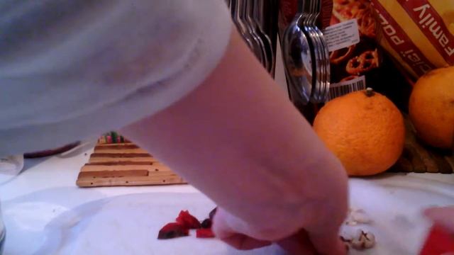 Как сделать смесь для хомяка 13