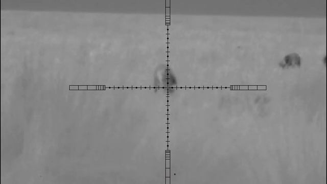 padrillo muy bueno смотреть онлайн