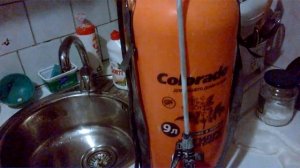 Как избавиться от гусеницы, американской бабочки