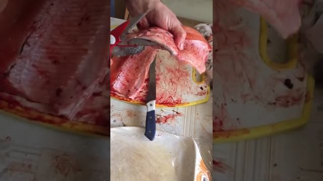 РЕЦЕПТ ЗАСОЛКИ ФОРЕЛИ