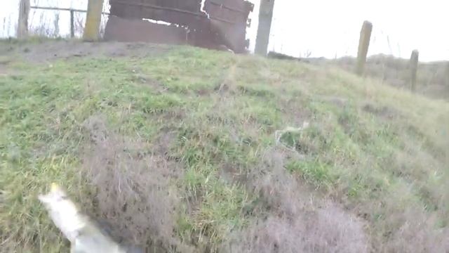 Топ приманка 2022 года по судаку и щуке. Обкатка спиннинга Kosadaka Hardy 236ML.