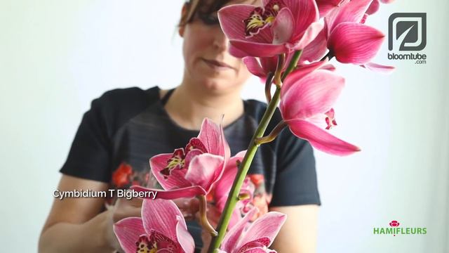 Floral Christmas Inspiration with a clear natural twist. How to make. смотреть онлайн