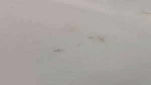 Полировка и ремонт акриловых ванн. Реставрация ванн жидкий мрамор наливной акрил.