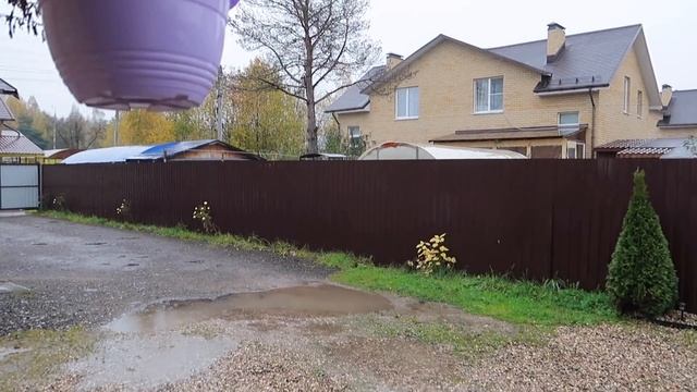 ЧТО ПОКАЗАЛО УЗИ // РЕЦЕПТ ВКУСНЫХ БЛИНОВ смотреть онлайн