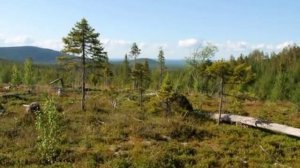 Природа нашего края (Алакуртти). Часть вторая