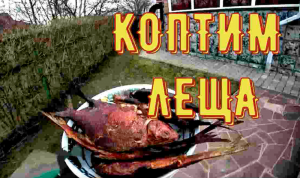 КОПТИМ ЛЕЩА