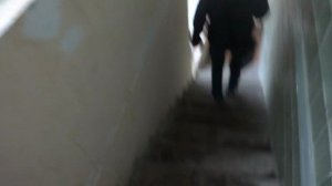 Электрические лифты V=1 м-с, грузоподьемность 320, 630 кг (1067)