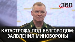 Минобороны РФ - о катастрофе Ил-76 под Белгородом, который сбили украинские военные