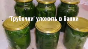 Виноградные листья на зиму