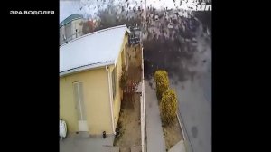 Если можете, уезжайте из больших городов