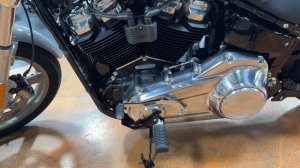 2024 Harley Davidson Softail Standard - FULL review!