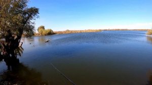 Щука берёт на любые приманки.Просто хороший день на рыбалке.Астраханская рыбалка.
