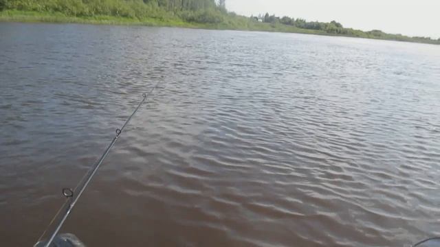 рыбалка на сухоне кренки ловля язя и окуня