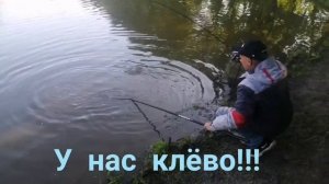 Мисайлово Trout. Летняя форель