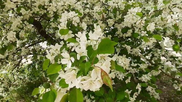 Только один верный признак укажет на настоящую ведьму