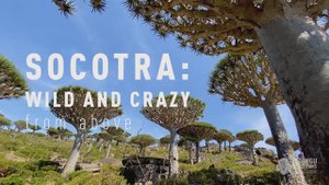 SOCOTRA 2021