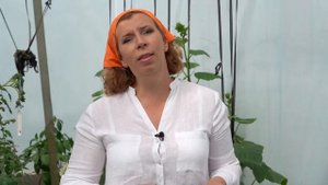 ЭКО-ПРОДУКТ! Избавляемся от муравьев раз и навсегда! Практические советы от Марины Рыкалиной 2020