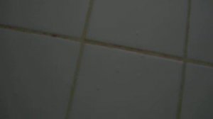 Perfect Enemy  t.A.T.u. Acoustic Cover