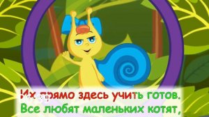 5 песня Baby Time на Bridge TV