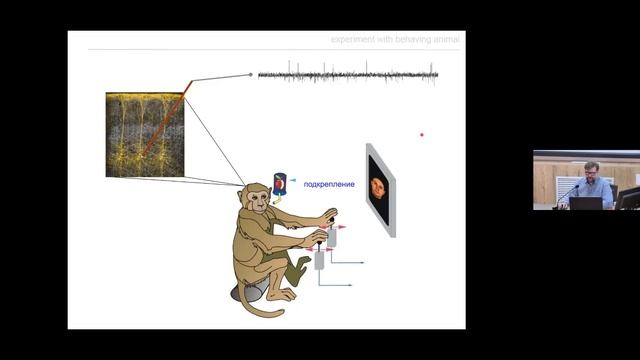 M4 Prof. Igor Bondar "Extracellular Electrophysiology Methods in Neuroscience" IHNA/iBRAIN смотреть онлайн