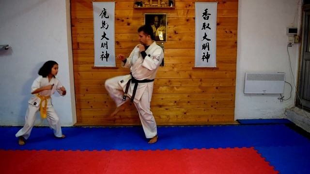 Двойной удар Мае Гери киокушинкай каратэ | Double strike Mae Geri Kyokushin karate смотреть онлайн