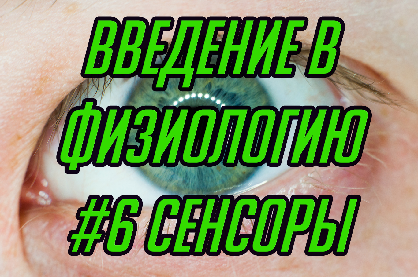 Основы физиологии #6. Сенсорные системы