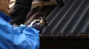 Ремонт старой кровли с помощью материалов Ондулин.