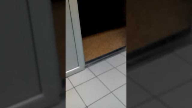 Заброшеная школа