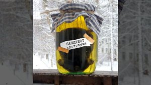 Кротовуха