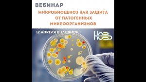 Микробиоценоз как защита от патогенных микроорганизмов