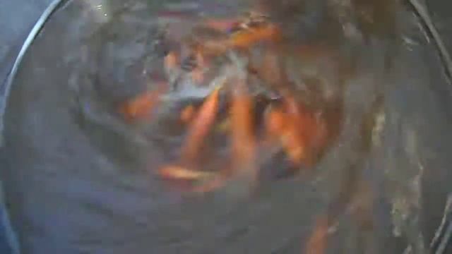 Стираем морковь в стиральной машине, а Вам слабо? смотреть онлайн