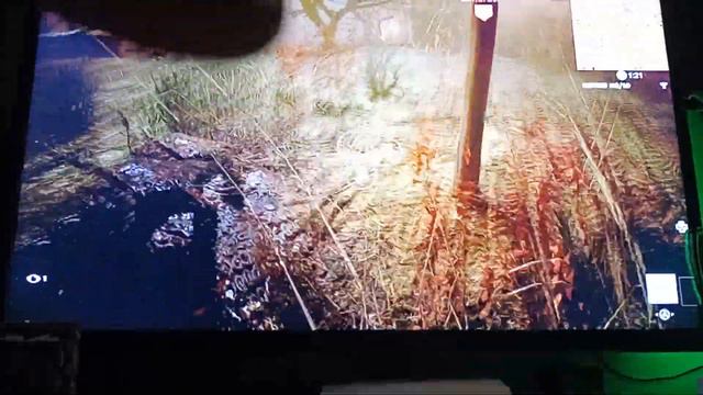 Mostro UGA BUGA смотреть онлайн