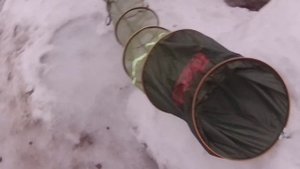Обзор садок