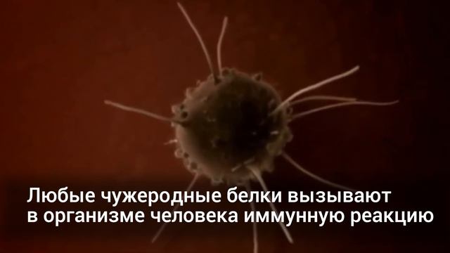 Плесень: причины появления и применение в медицине