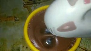 Как приготовить капучино в домашних условиях!