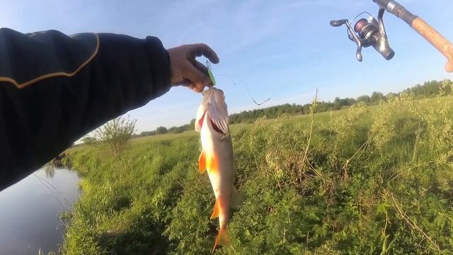 Спиннинг на реке. Рабочая украинская вертушка Azor Fishing. Рыбалка в Беларуси. смотреть онлайн