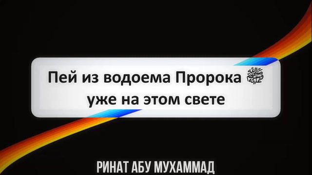 Пей из водоёма уже на этом свете || Ринат Абу Мухаммад смотреть онлайн