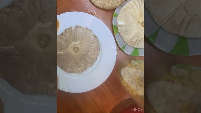Готовим грибы  «Зонтики» или «Попы»