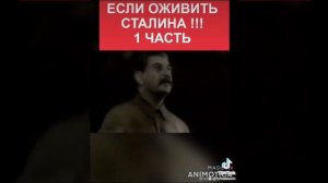 Сталин