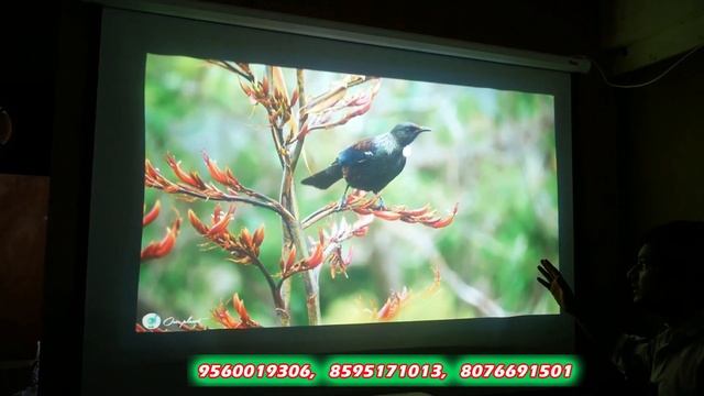 Epson Ultra Short throw Projector 695wi  Demo Second hand Projector