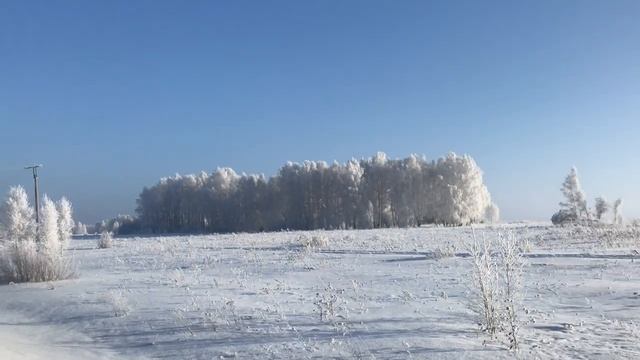 Зимняя сказка.  Красота зимнего леса. Новосибирская область. Зима.