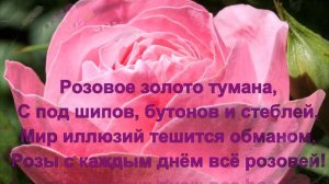 ч.6. "Розовые розы" сборника стихов - "Размышления о розах"