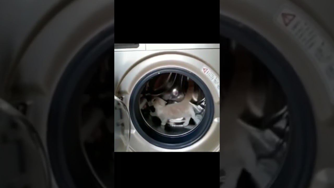 утренняя зарядка смотреть онлайн