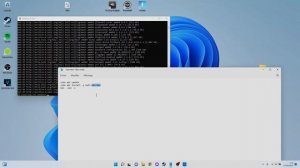 How to install kali linux on windows 11