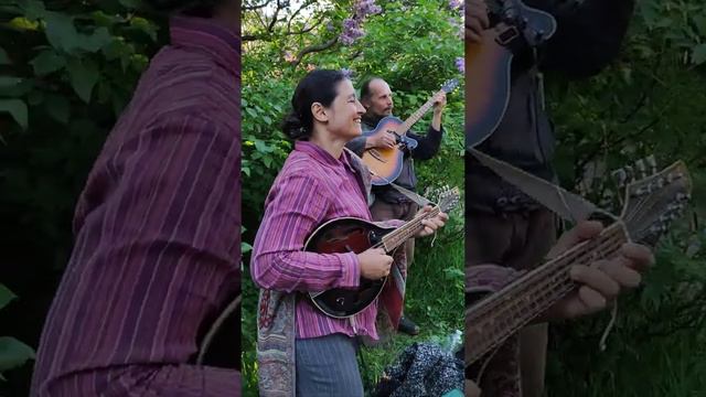 #уличнаямузыка в Киеве. Мандолина и Гитара. Ирина Михай и Дмитрий Полин смотреть онлайн